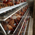 Cage Poulet Cage Poulet / Volaille Farm House Design Chicken Poultry Hangar